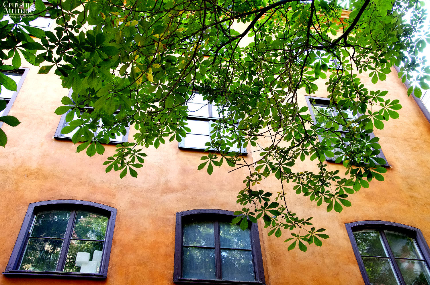 Under the Chestnut Tree in the Old Town of Stockholm - Cruising Attitude Sailing Blog | Discovery 55