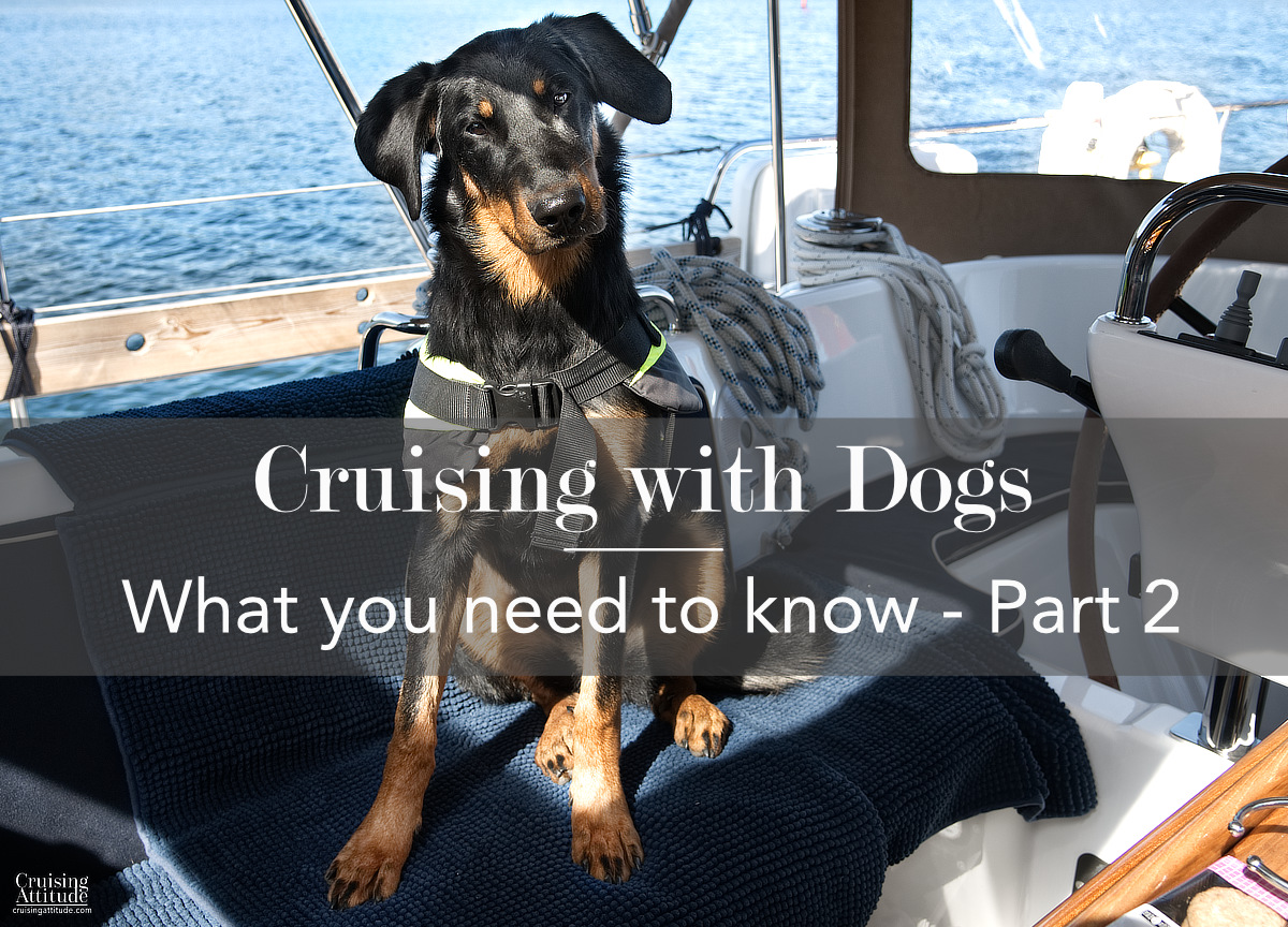 Sailing with dogs - what you need to know - Part 2 | Cruising Attitude Sailing Blog | Discovery 55