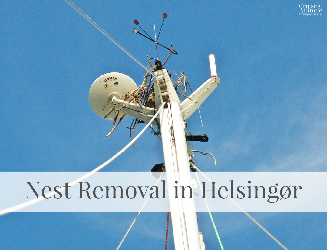 Removing a bird's nest from the top of the mast | Cruising Attitude Sailing Blog - Discovery 55 
